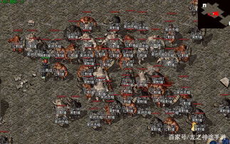 1.76金币传奇地图怪物
